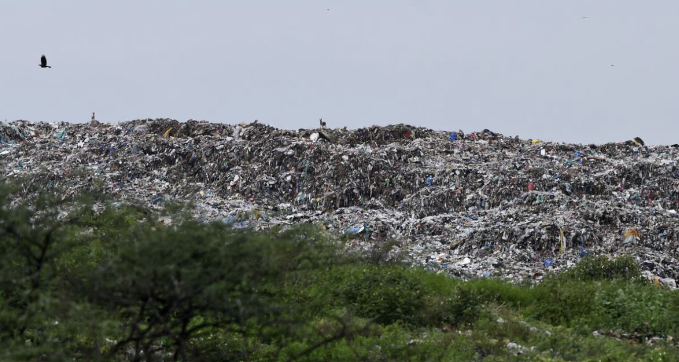 Large Scale MSW Processing Project